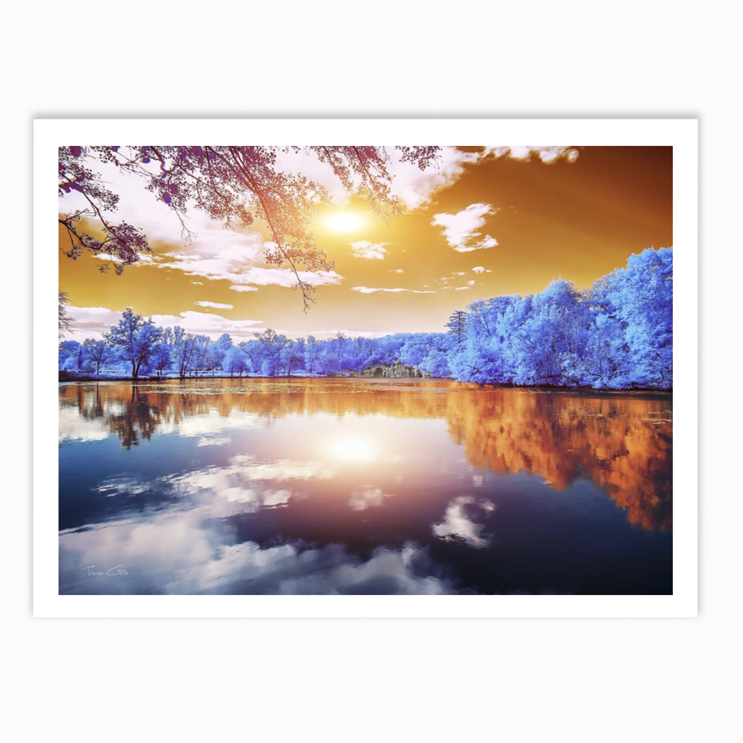 Double Reflections, Majolan’s Park, Bordeaux - Infrared Photography