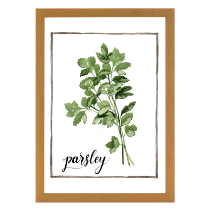 Watercolor Herbs II