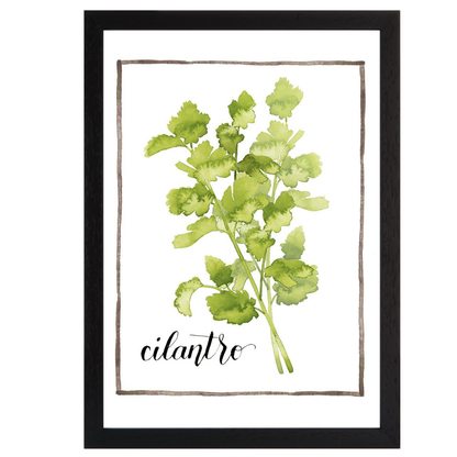 Watercolor Herbs IV