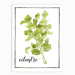 Watercolor Herbs IV
