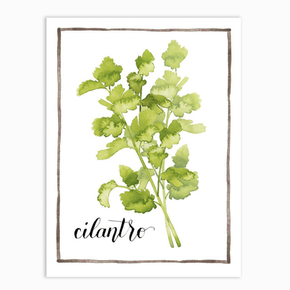 Watercolor Herbs IV