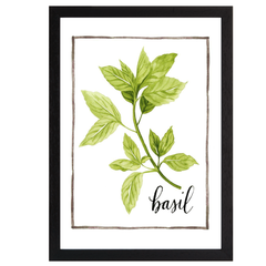 Watercolor Herbs I