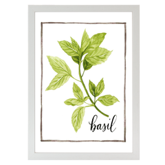 Watercolor Herbs I