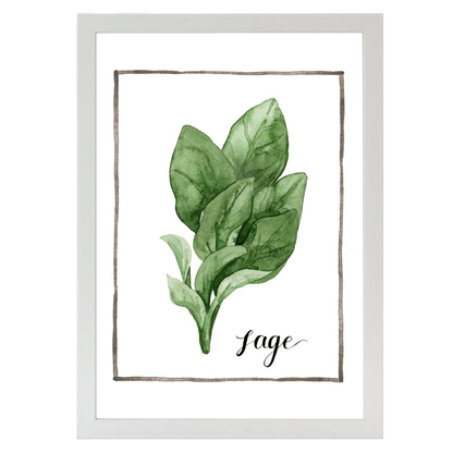 Watercolor Herbs VI