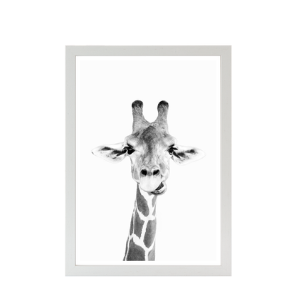 Hey Giraffe bw