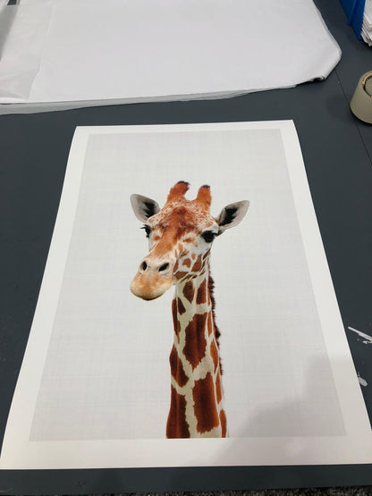 Giraffe Portrait Print