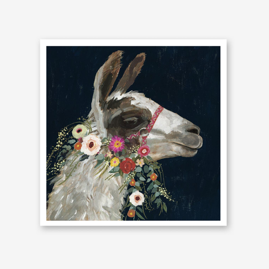 Lovely Llama I