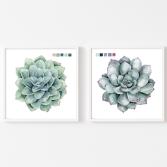 Succulent Swatches I & II Set