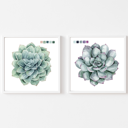 Succulent Swatches I & II Set